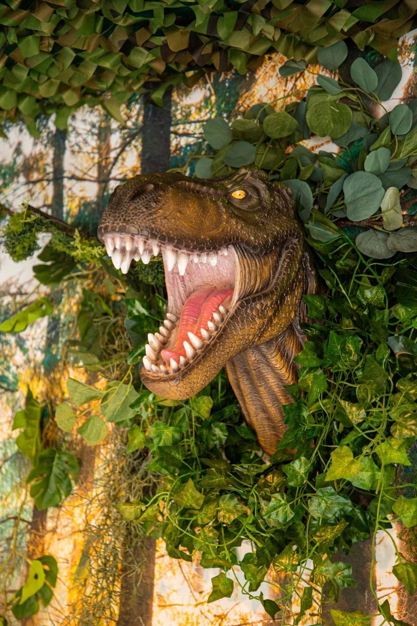 Jurassique Appart Montigny-les-Metz 外观 照片